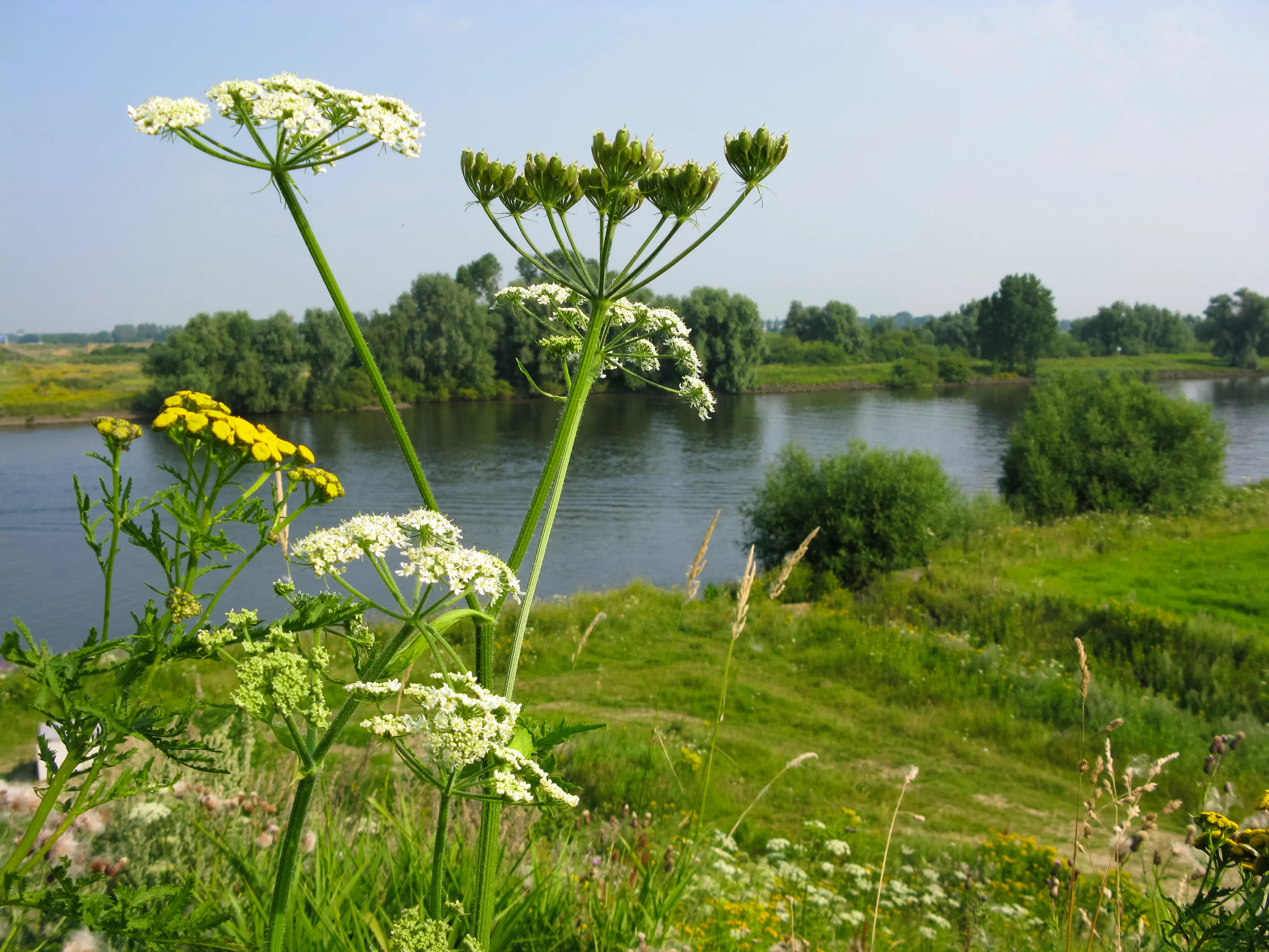 riviernatuur de lymen natuurmonumenten namo51160