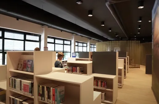 schermafbeelding 2020 11 27 om 131459