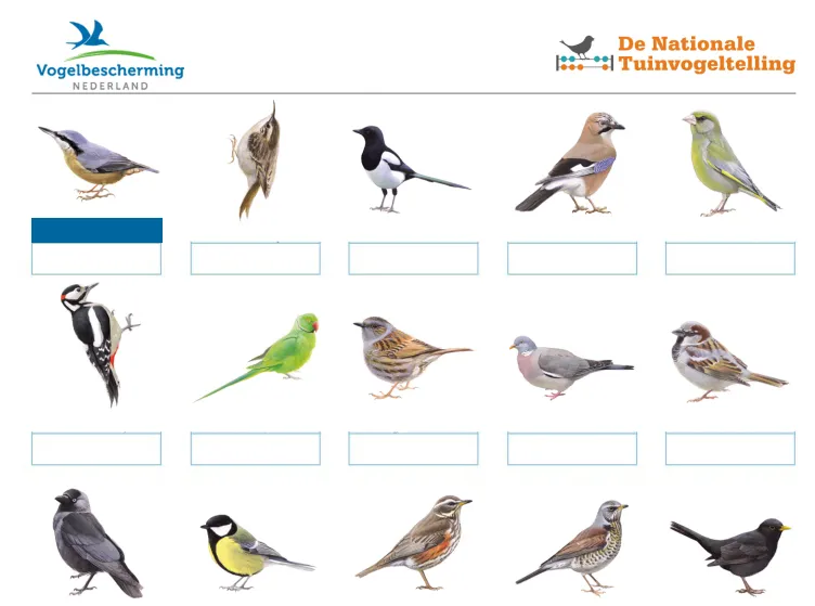 schermafbeelding 2021 02 01 om 004017