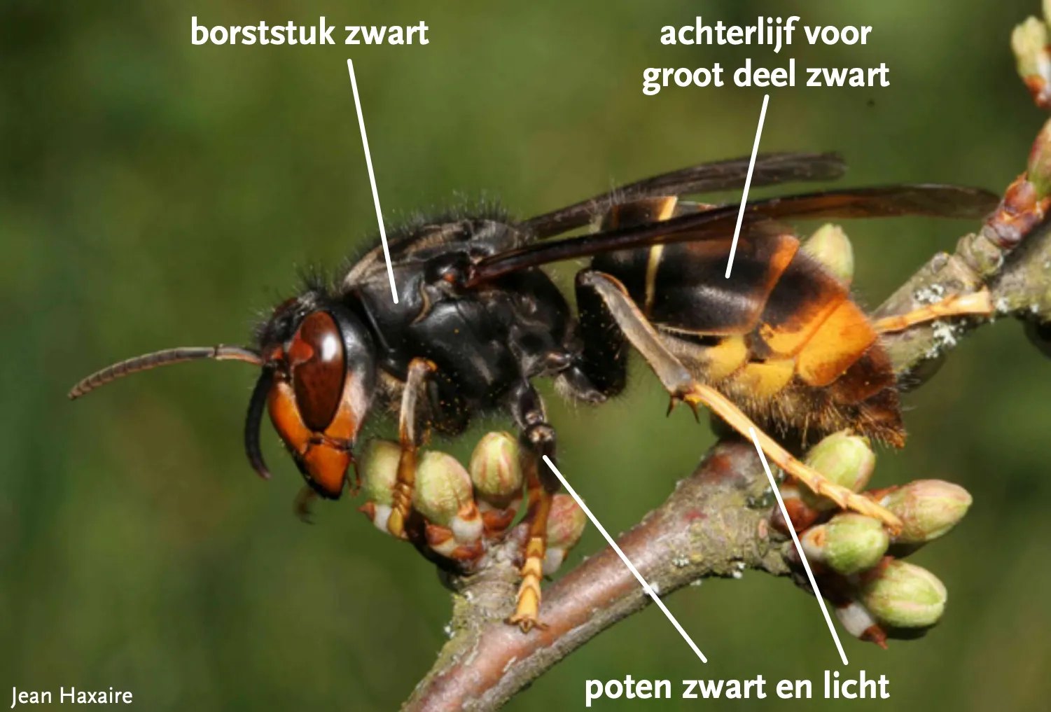 schermafbeelding 2022 04 22 om 094931