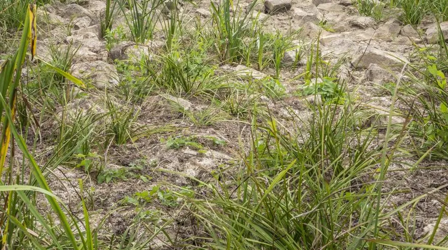 schermafbeelding 2022 08 21 om 150038