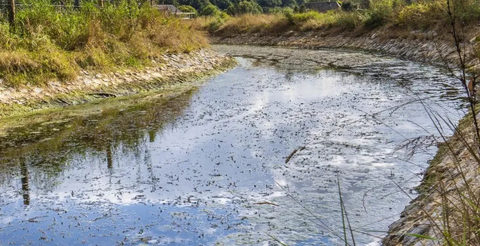 schermafbeelding 2022 09 30 om 123411