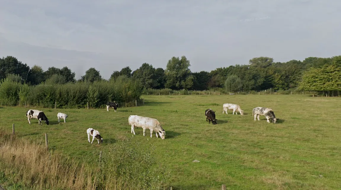 schermafbeelding 2023 06 13 om 140549