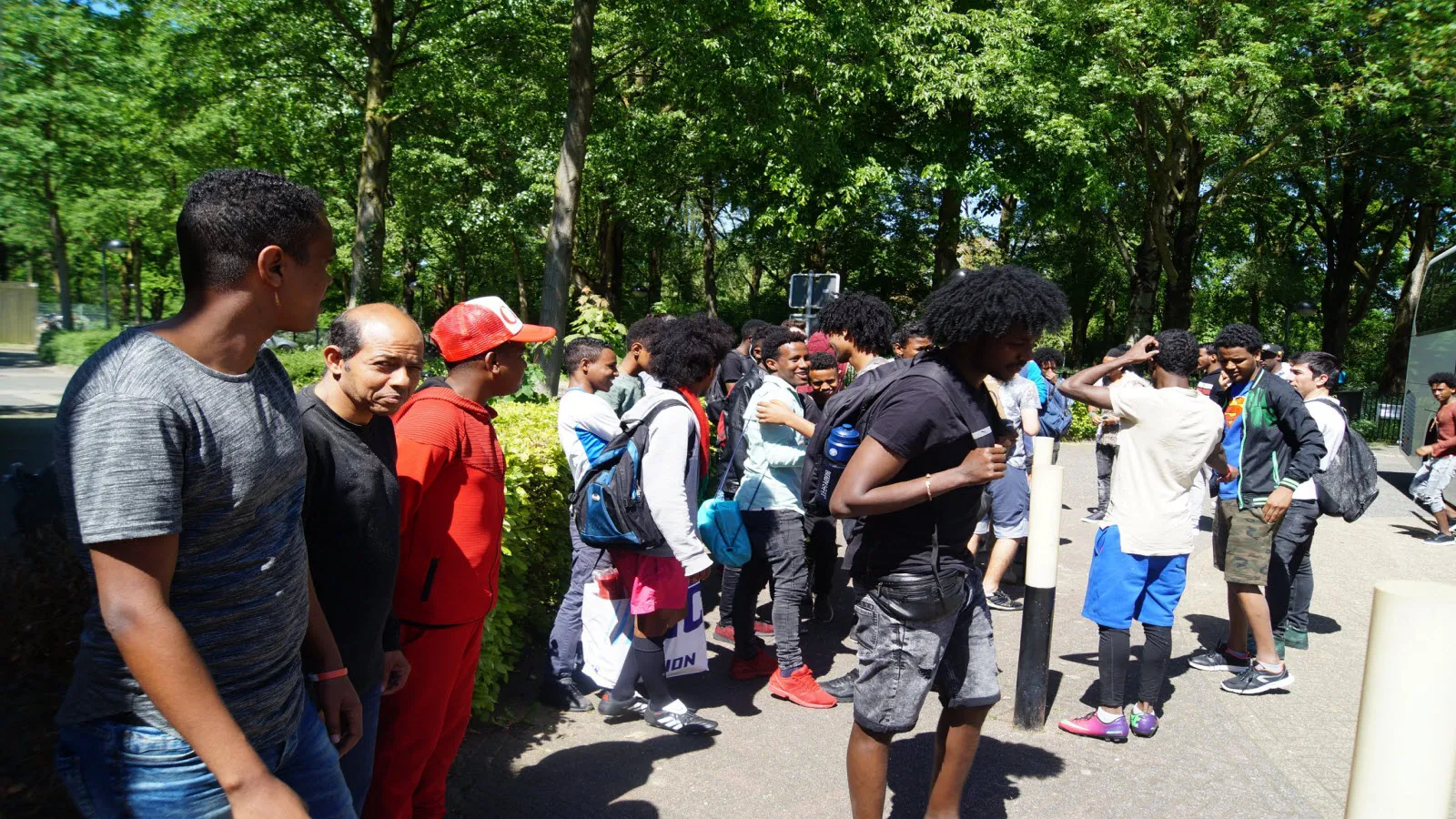 stingting elanart 0001 0001