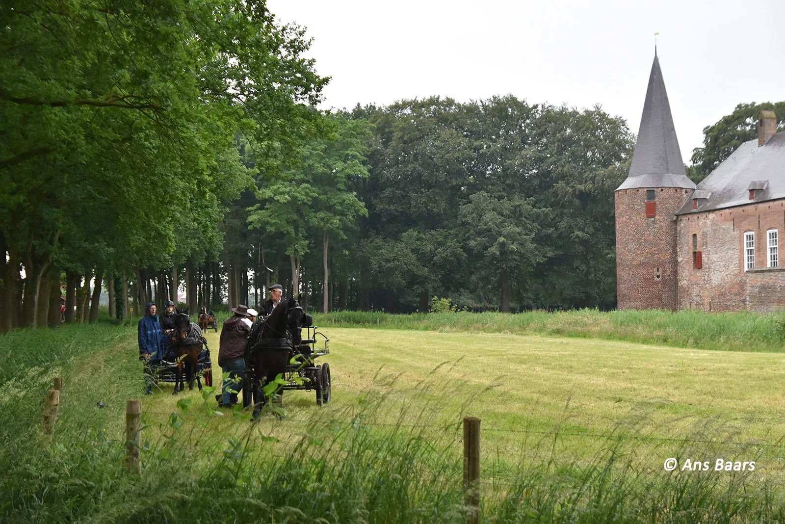 stratenmarkt hernen 2016 00
