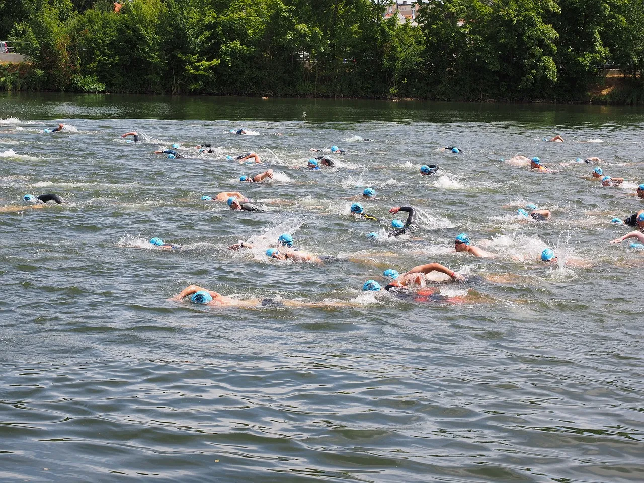 swim 2147892 1280