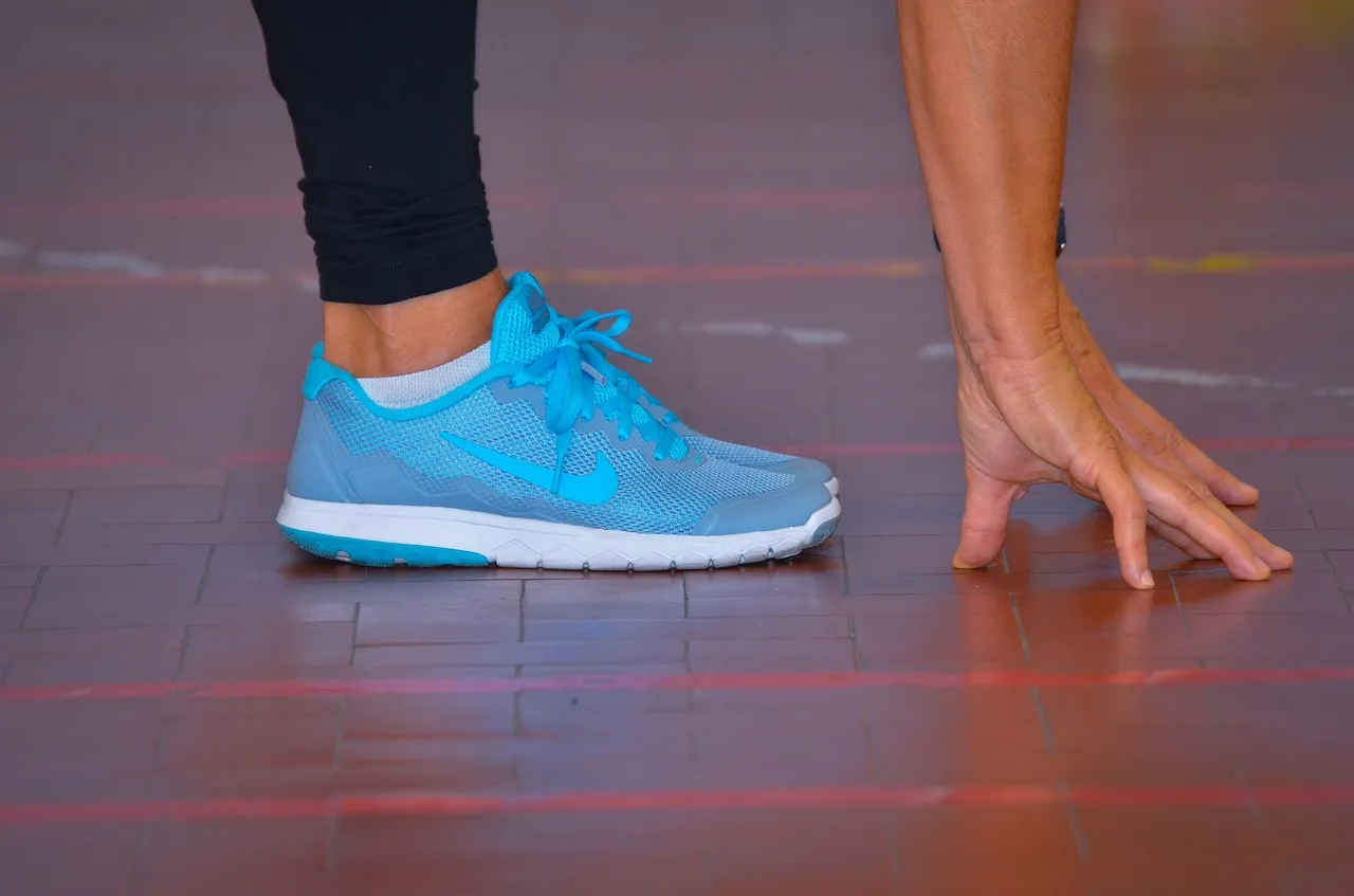 tiziana marongiu pixabay3909411 1280