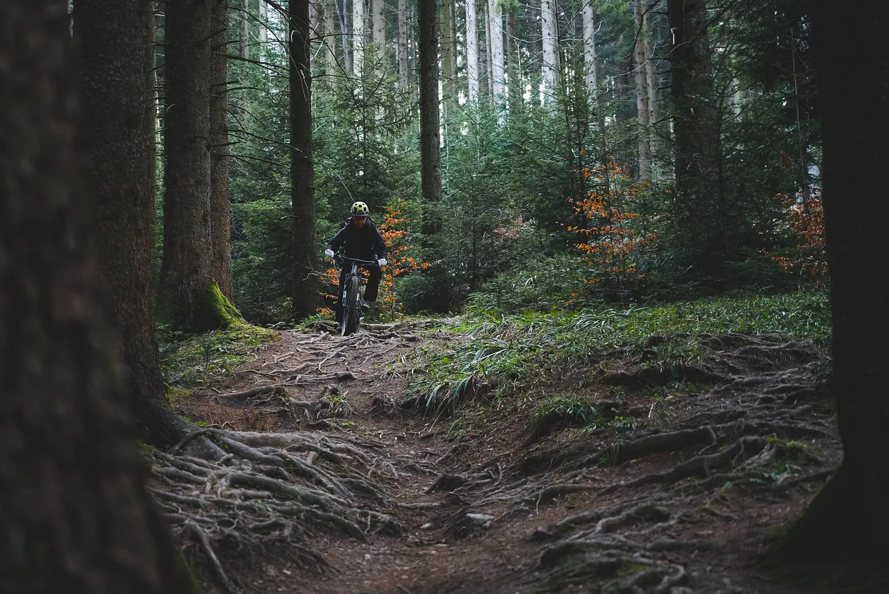 trail riding 6725753 1280