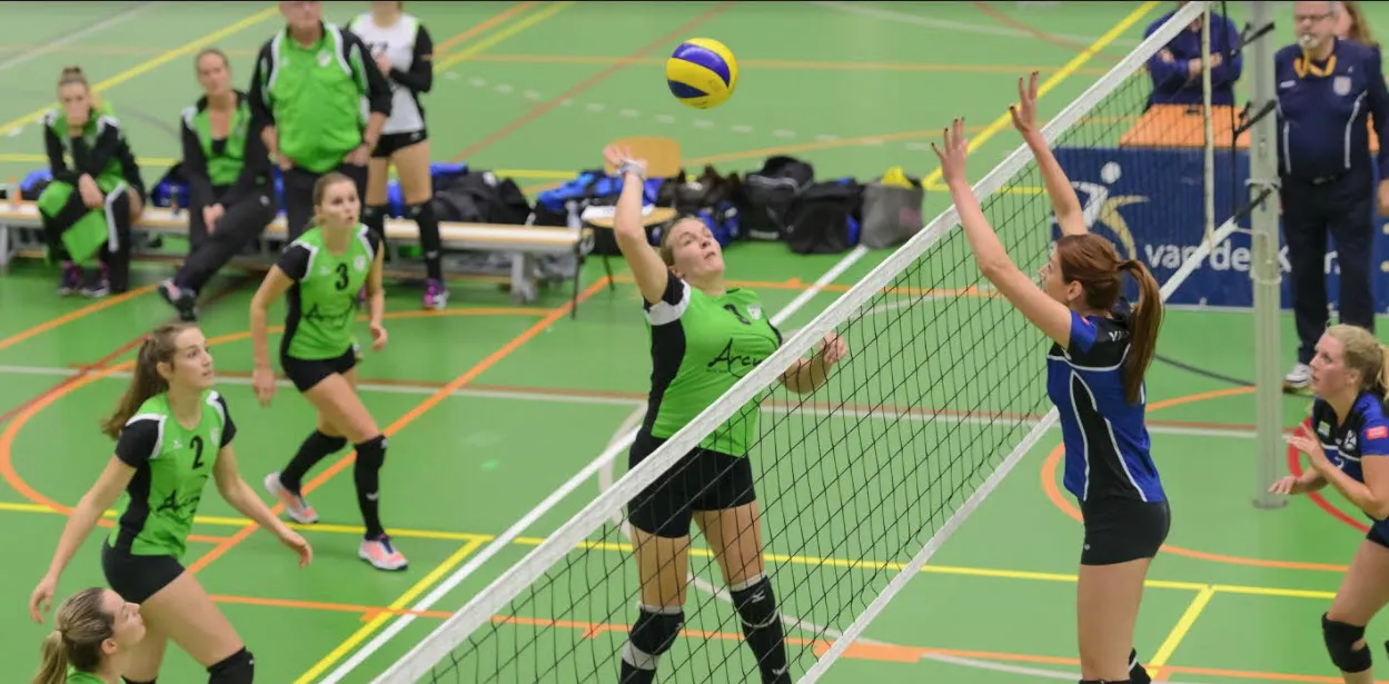 trivos 251117 nienke visser