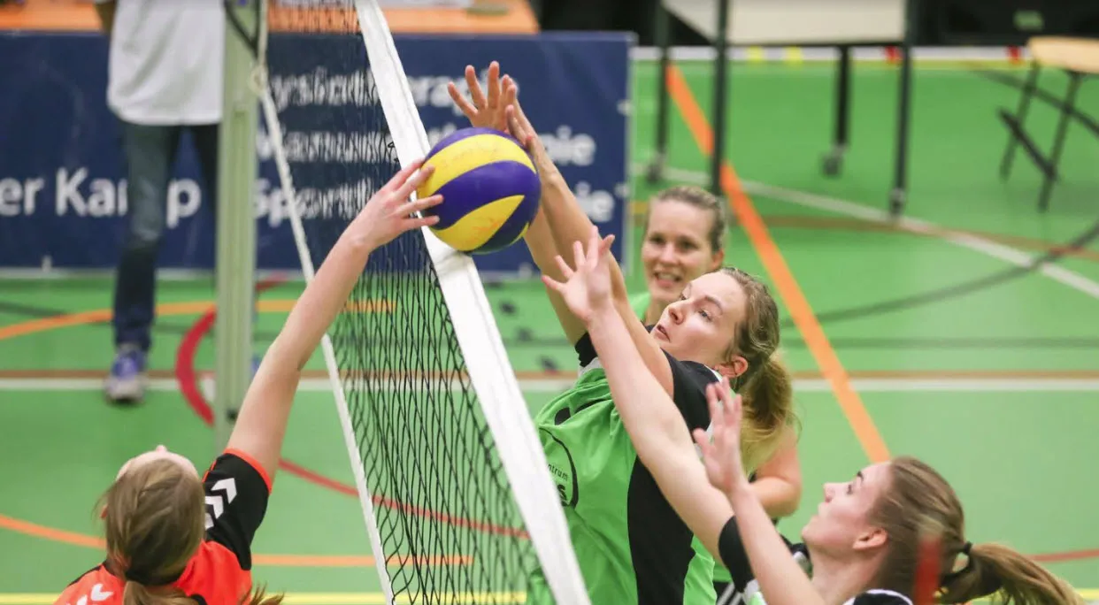 trivos voorwaarts 01