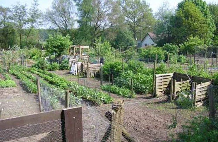 tuinvereniging zesweg