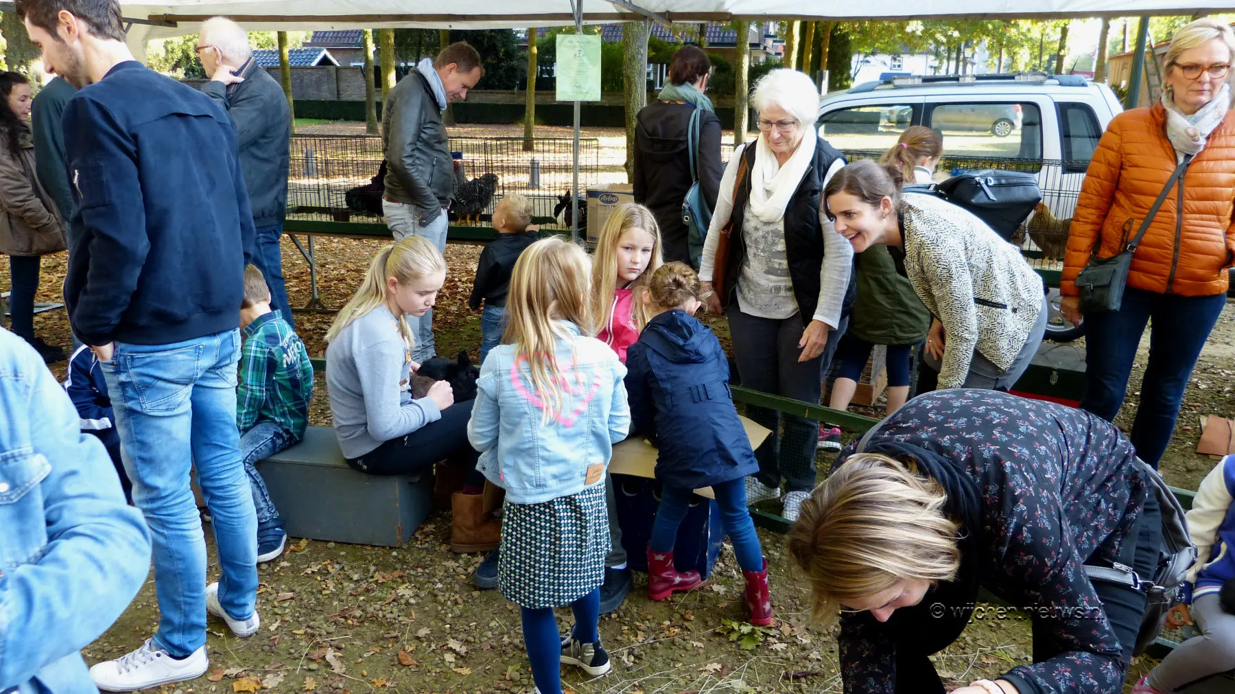 veemarkt wijchen 20170049