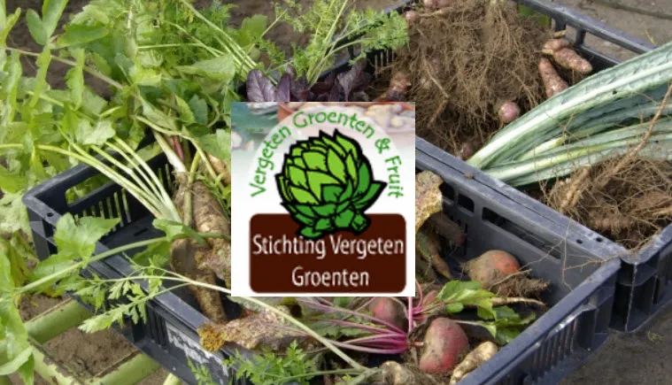 vergeten groenten