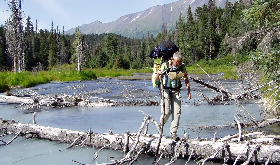 vincent cantrijn wildernis