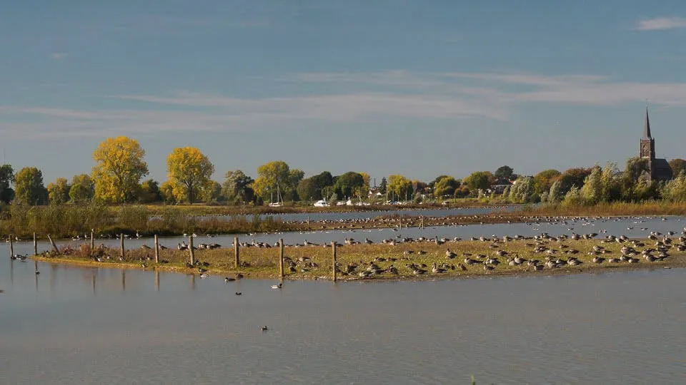 vogels liendense waard