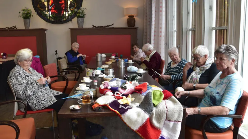 welfaregroep zonnebloem