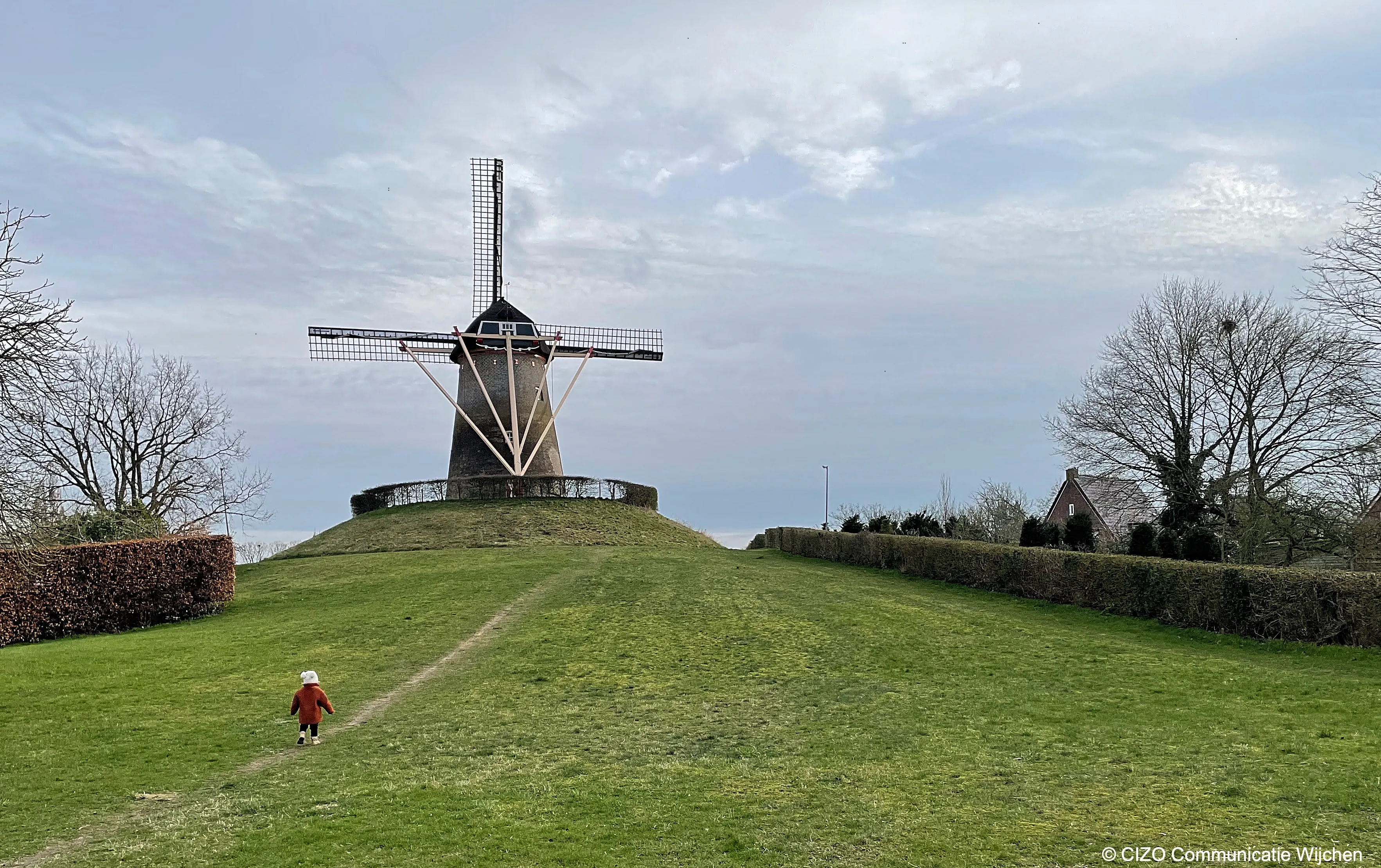 wijchense molen cizo