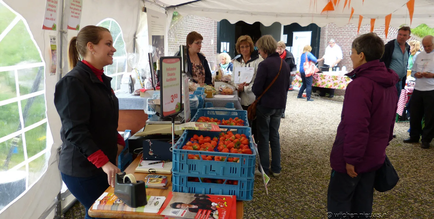 wijchense molendag 2015