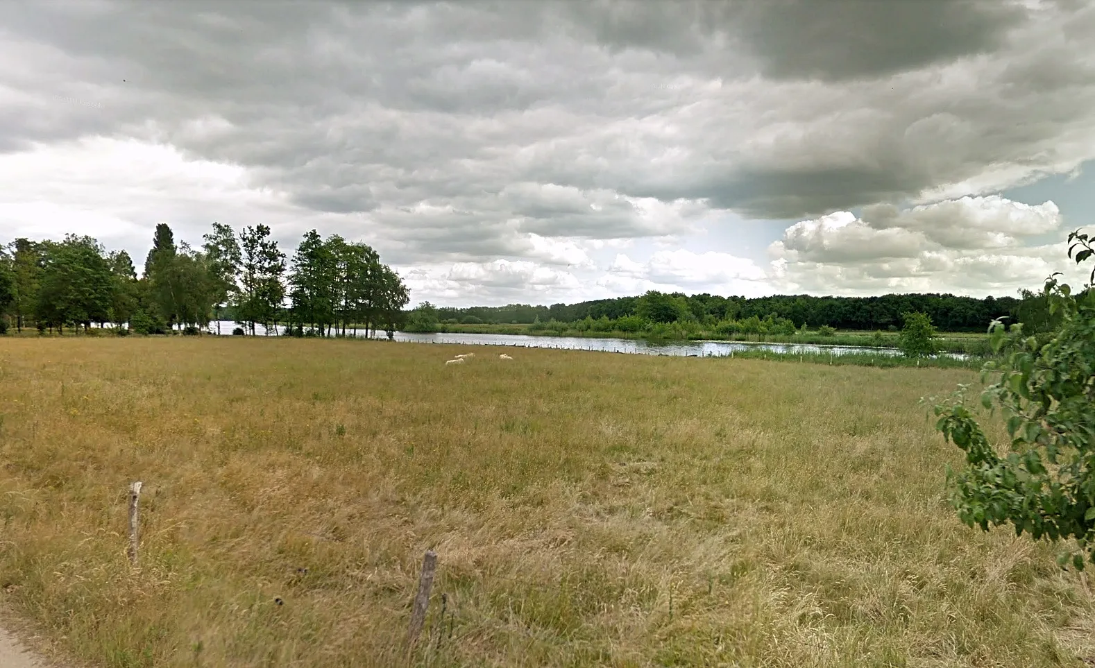 wijchense ven google maps