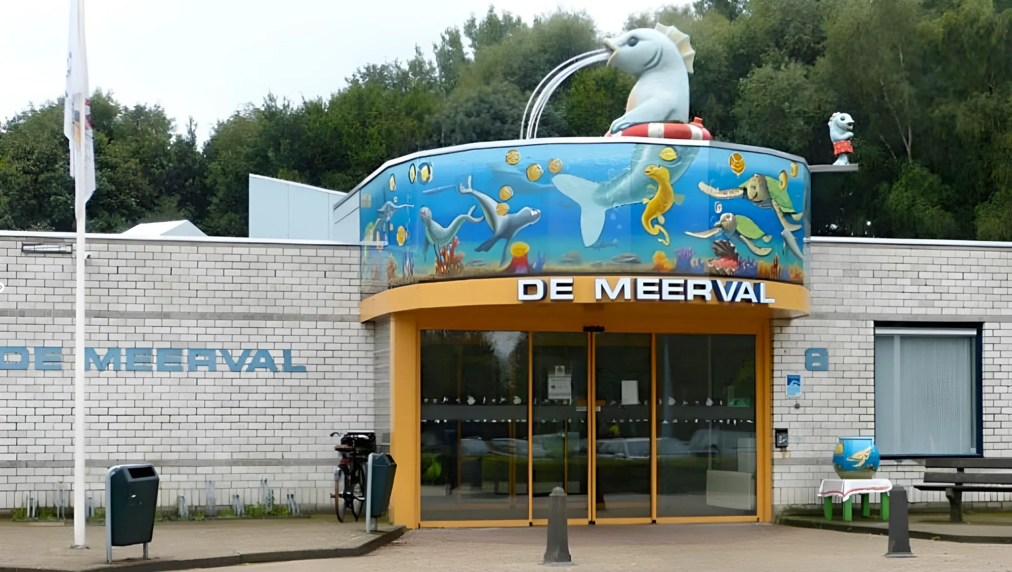 zwembad de meerval