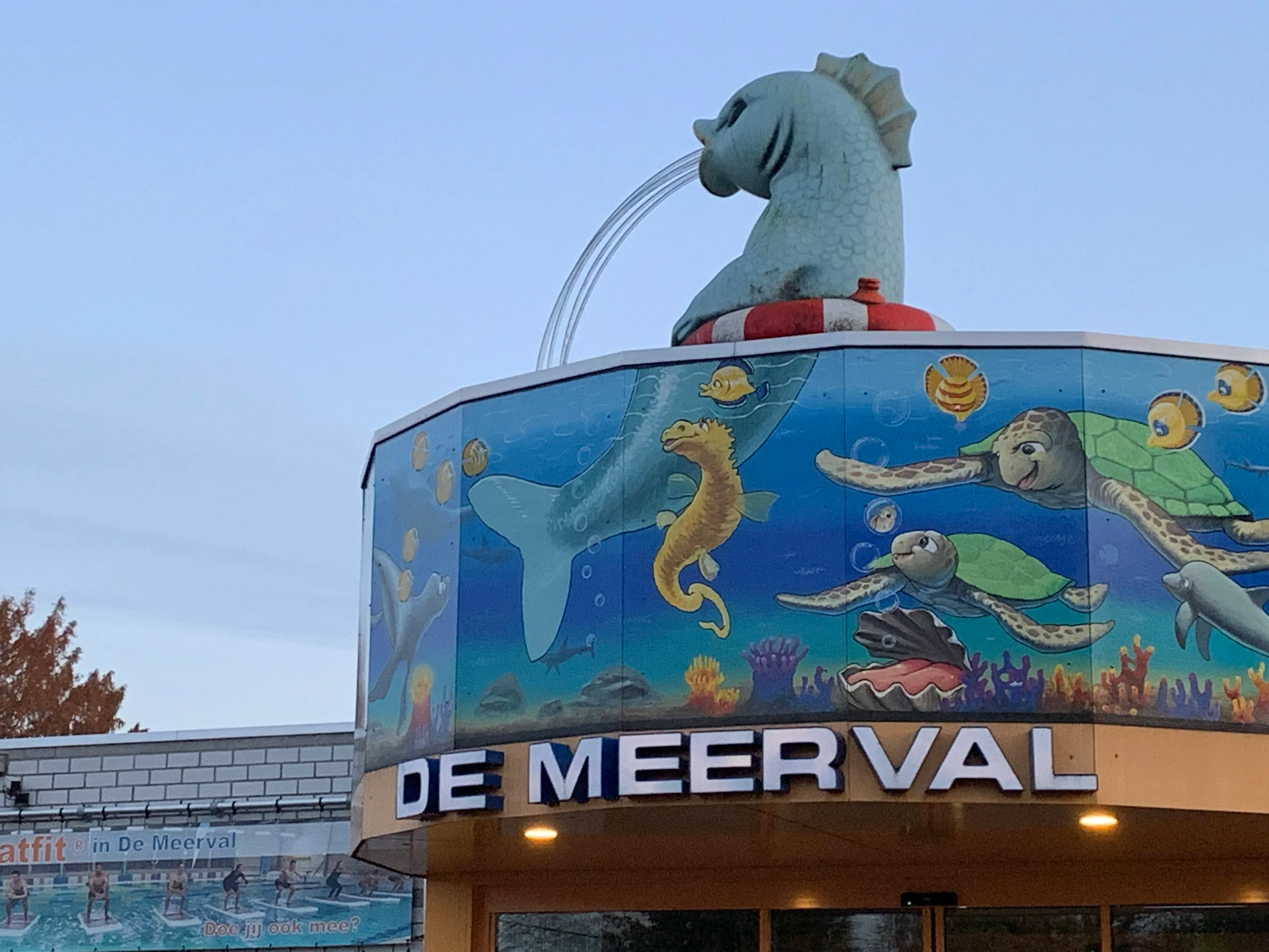 zwembad meerval img 6328