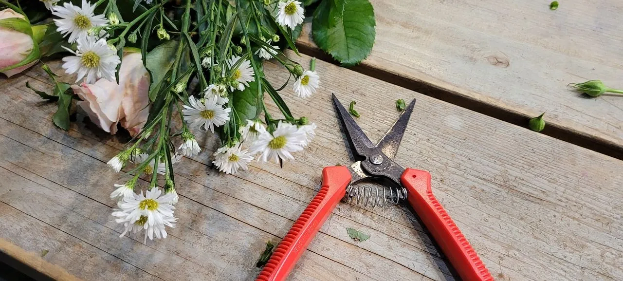 flowers 7347145 1280