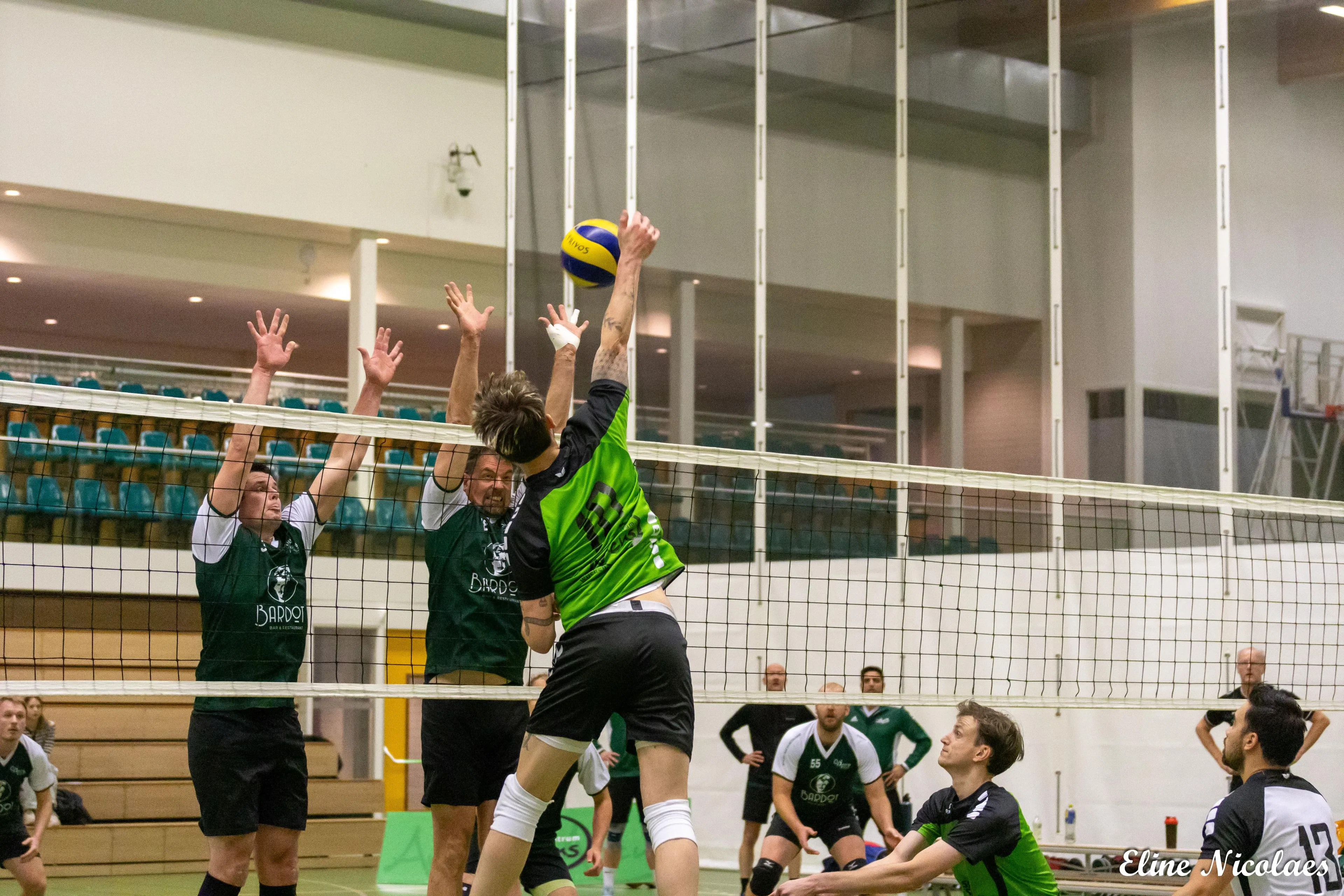 trivos vips bardot 16 11 2024 img 1454 min