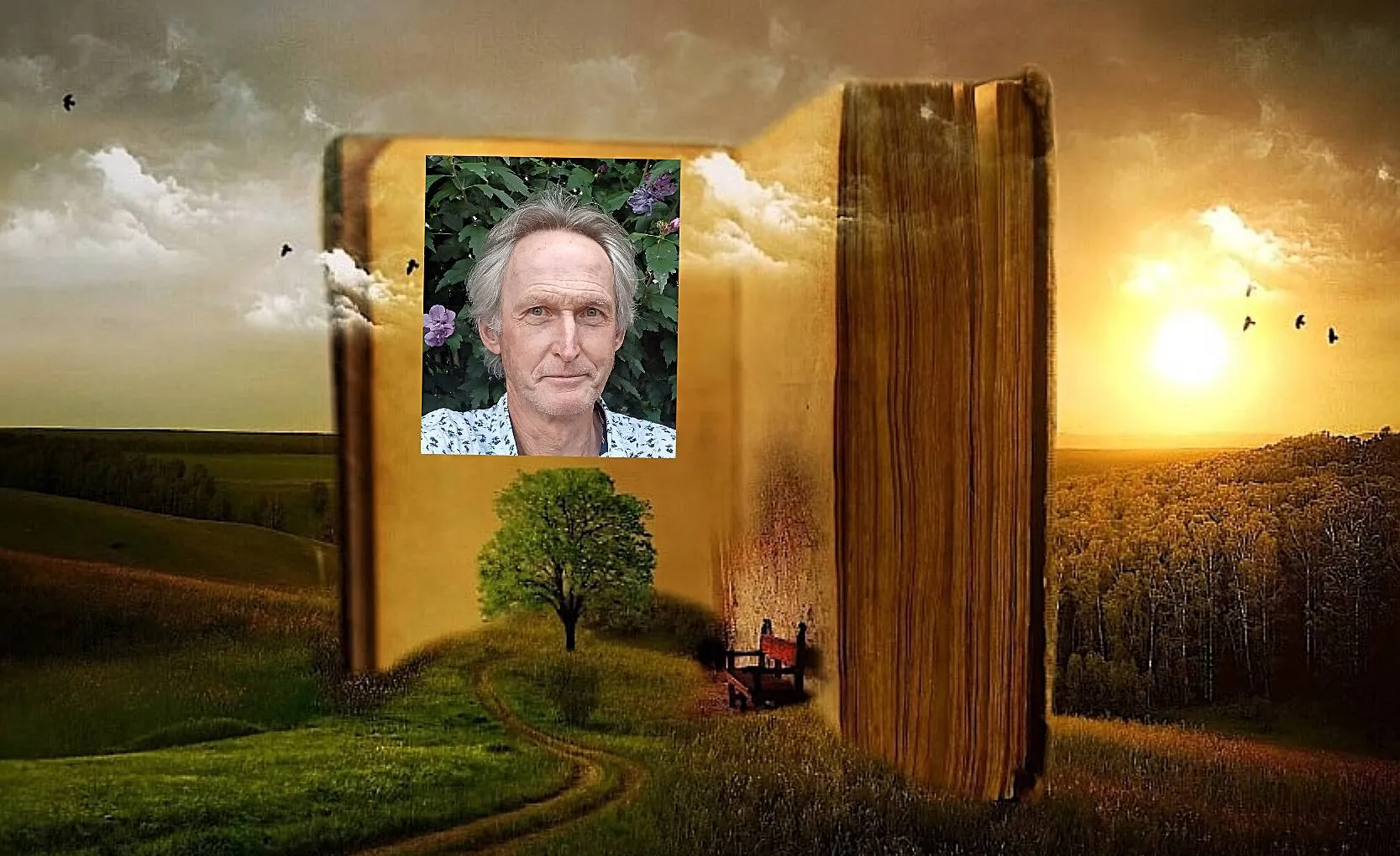 collagedirk1