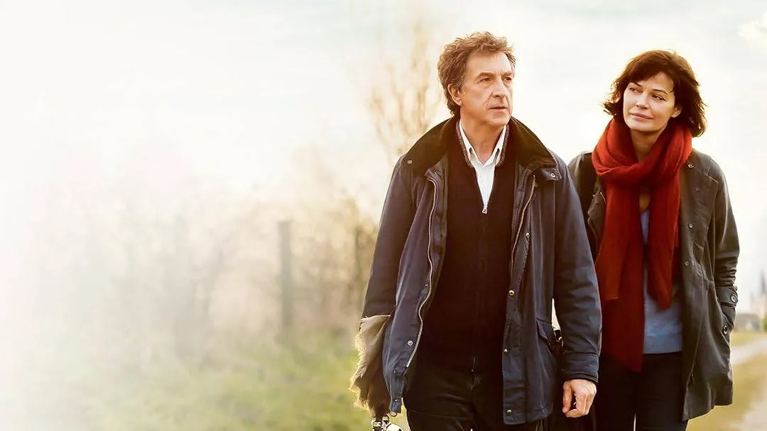 4a74af5acc6a76ca68a42fa0c454963df52ec17278c8f6a56011d5cdbb302dea sx1080 fmjpg