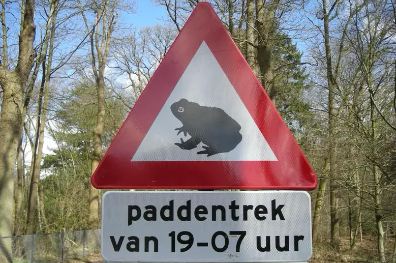 schermafbeelding 2025 02 03 om 171016