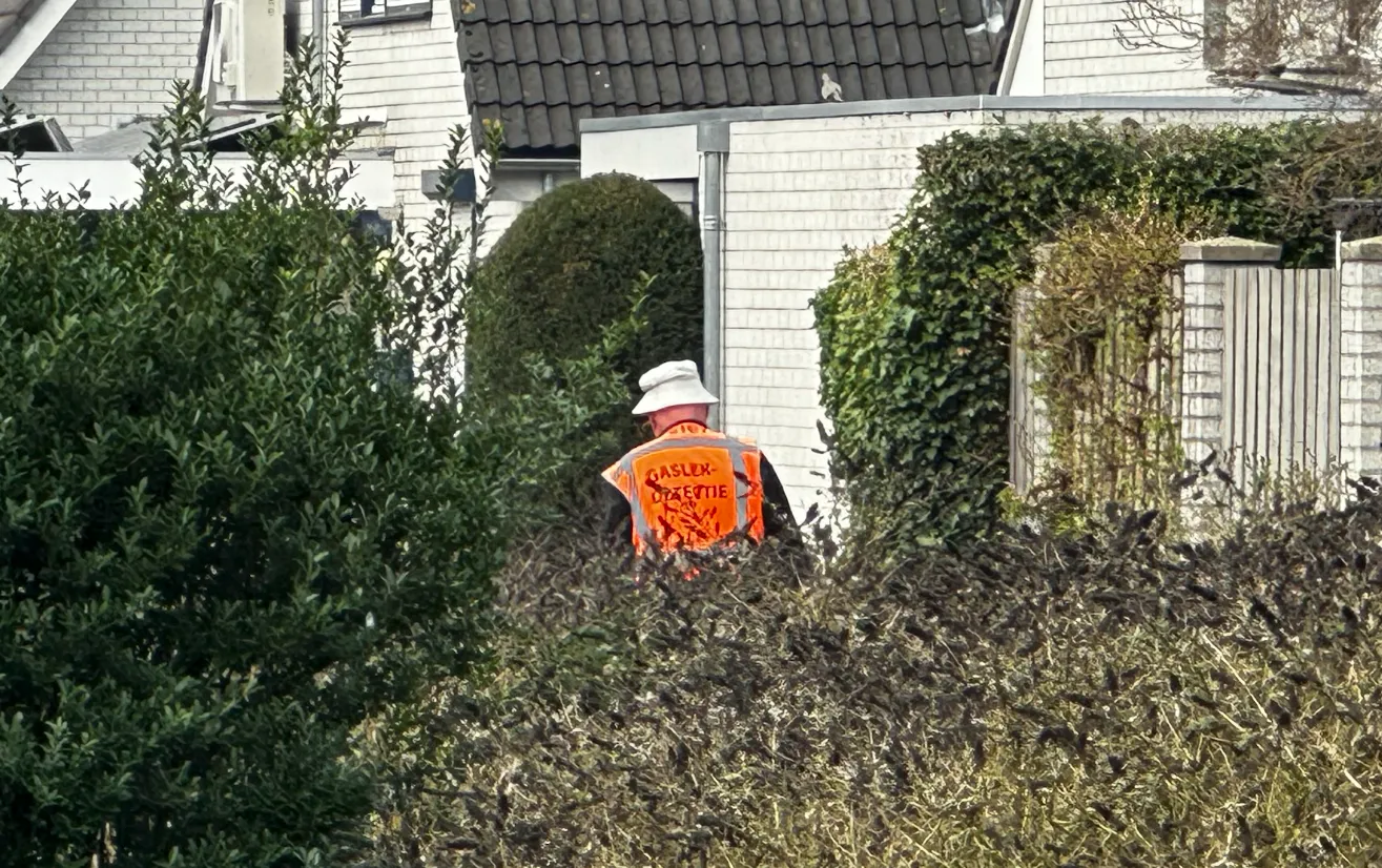 schermafbeelding 2025 03 25 om 113450