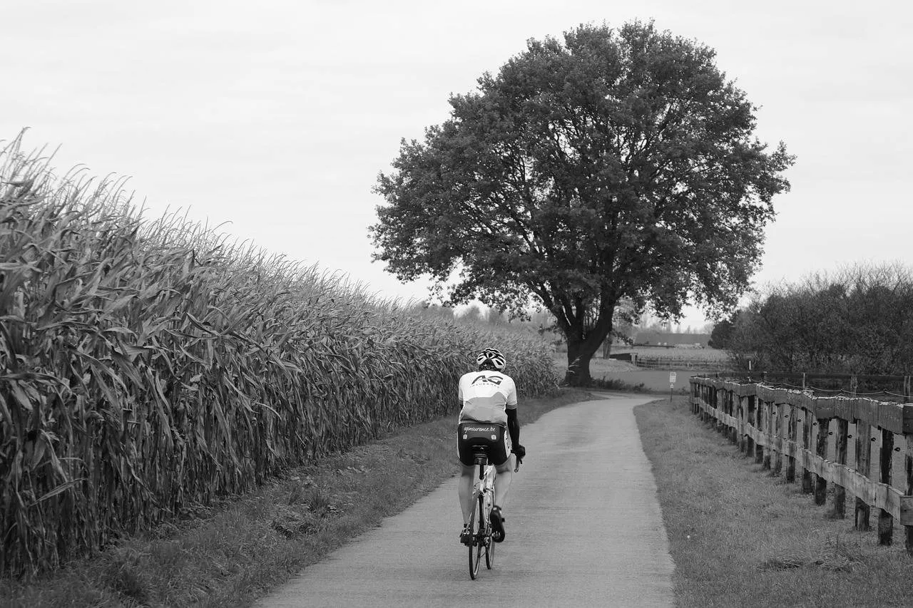 cyclist 1034155 1280