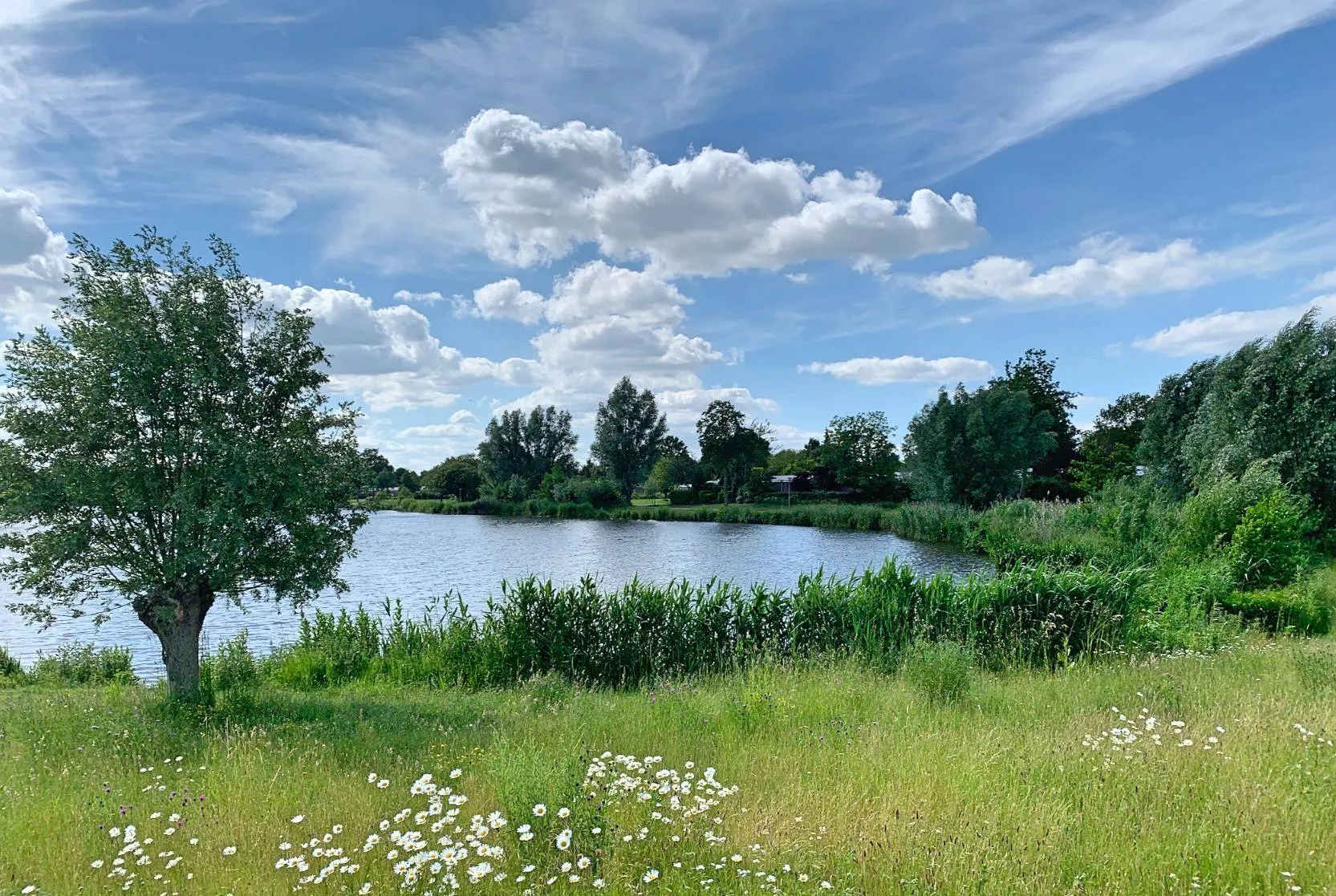 Scherm­afbeelding 2025-12-25 om 14