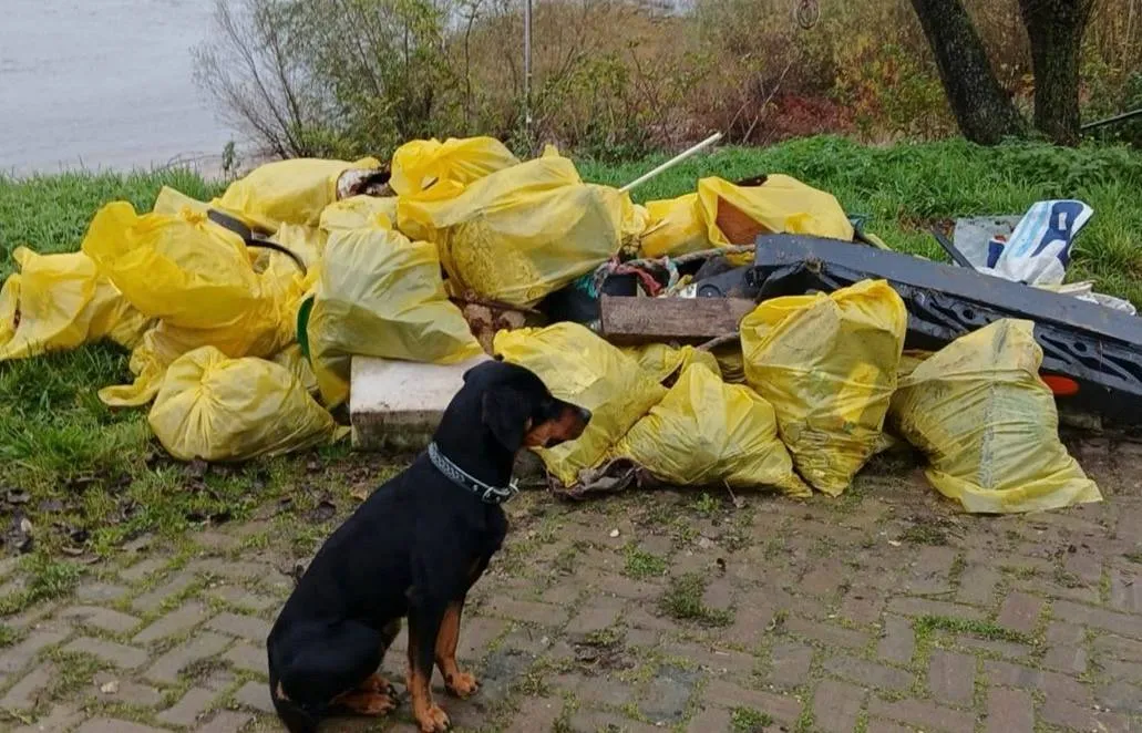 Scherm­afbeelding 2026-02-12 om 11.52.47