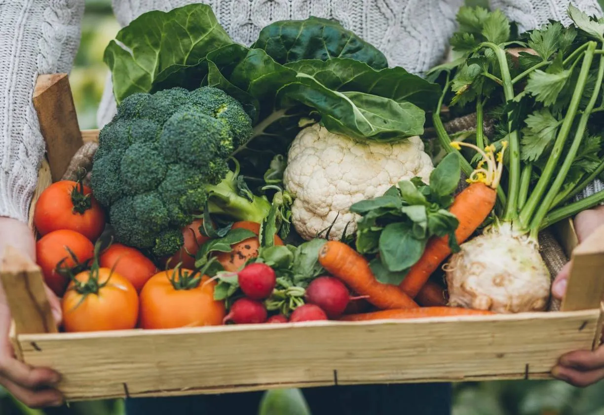 Scherm­afbeelding 2026-03-12 om 14.25.34