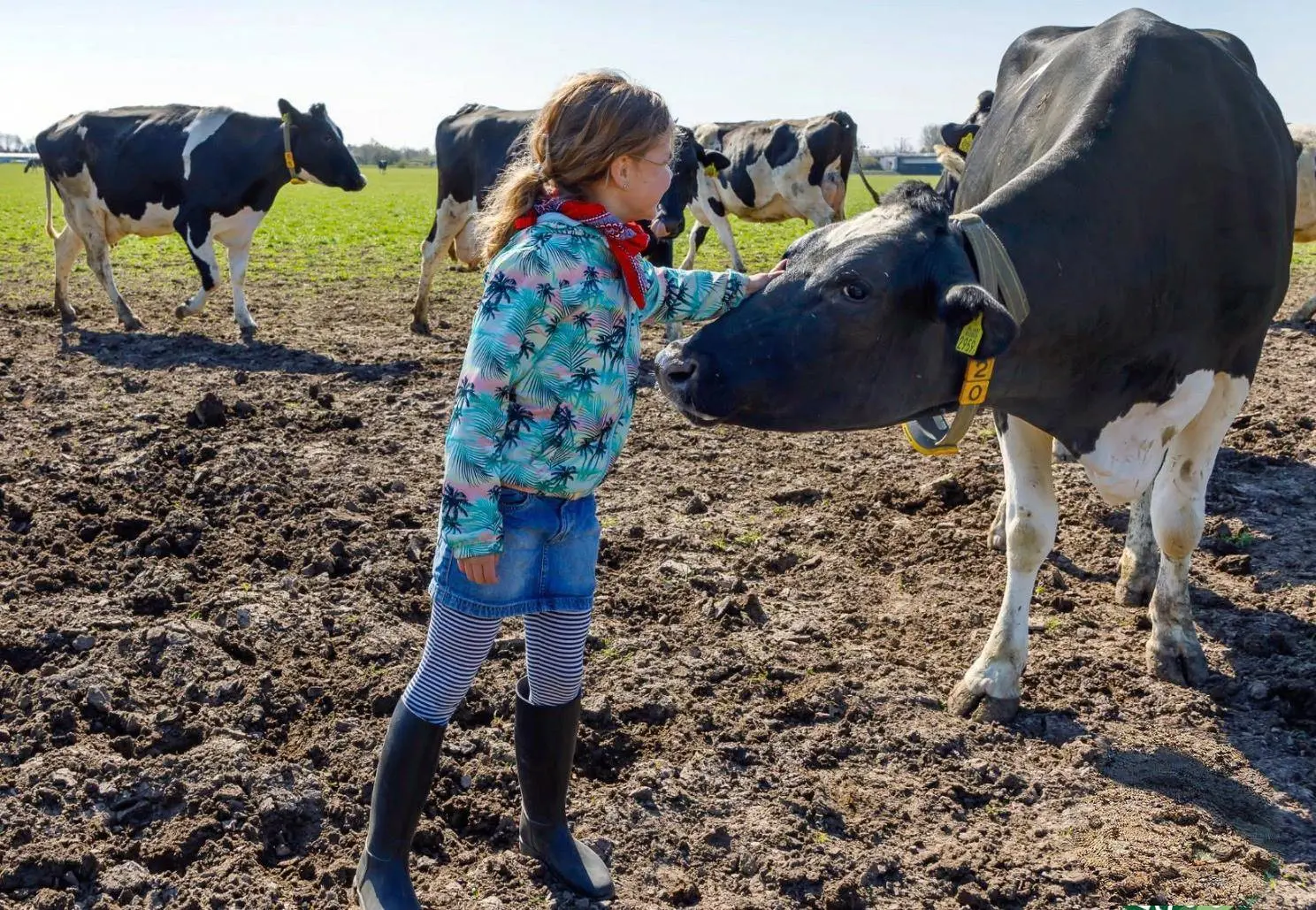 Gelderse Waardering. Week van ons eten Scherm­afbeelding 2026-08-31 om 16
