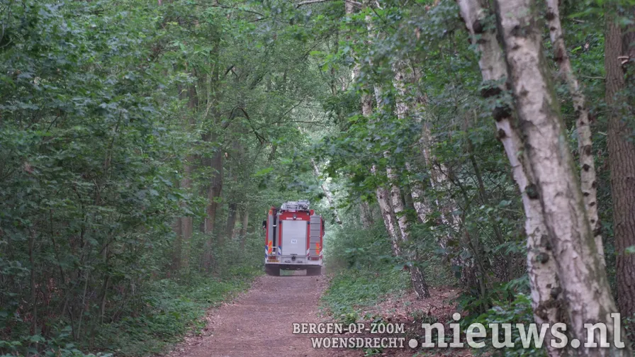 20100720 alg bosbrand 002