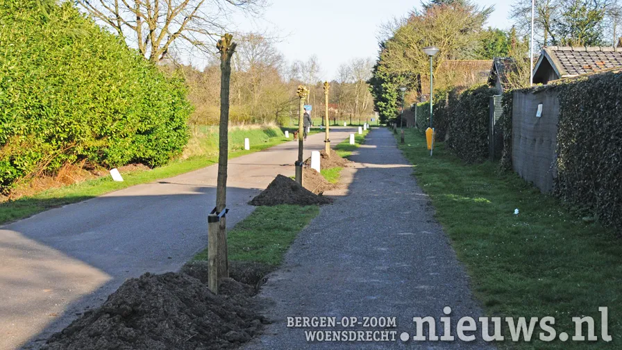 20170322 alg boomplantdag