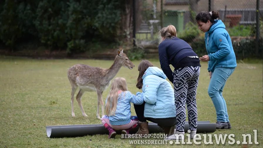 20170501 jkr put hertenkamp 001b