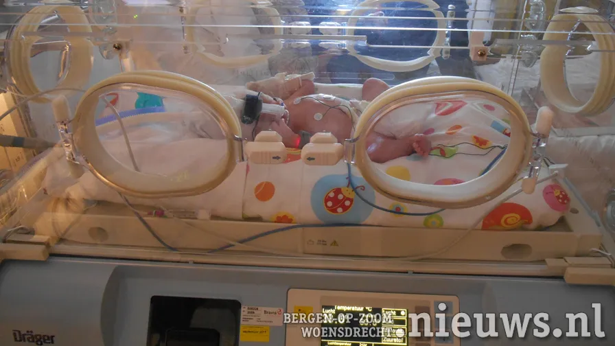 20170700 jkr boz baby