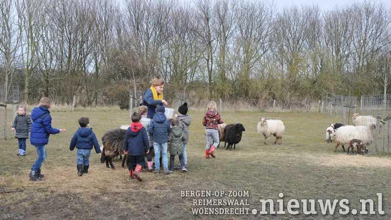 20180409 boz schapen jos van loon