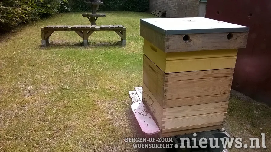 20180616 jkr alg bijenkast 001b