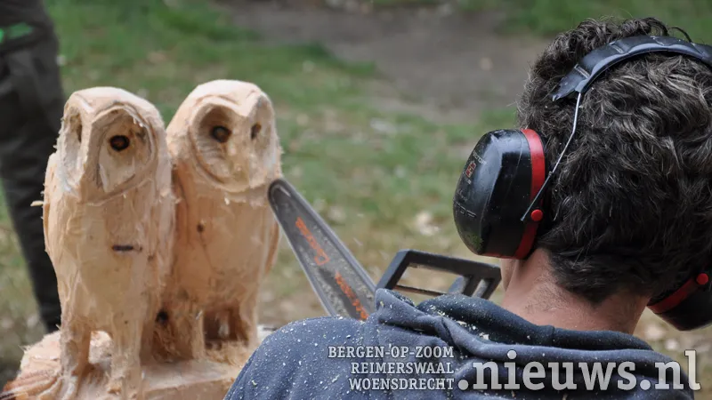 20180618 boz kettingzaag