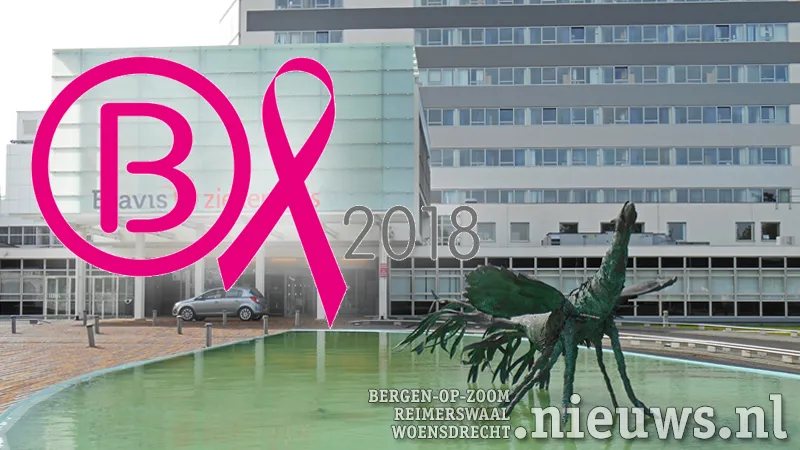 20180705 boz bravis roze lintje