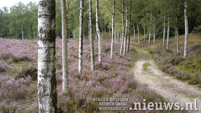 20180731 excursiestaatseduinen
