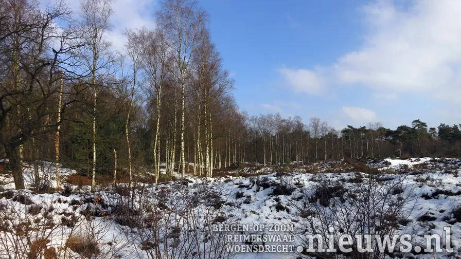 20190115 alg staartse duinen fred severin