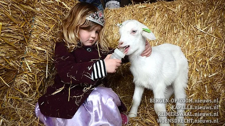 20190330 huij lammetjesdag