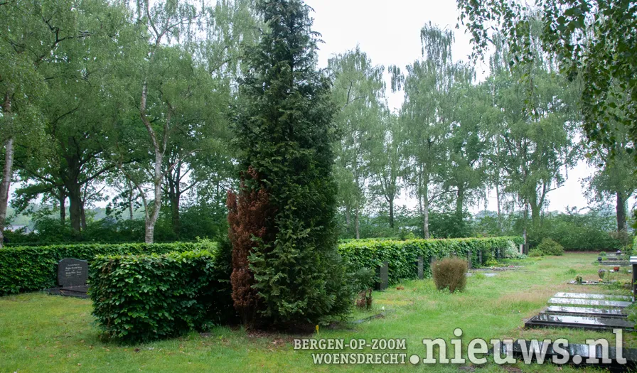 20190525 hoo begraafplaats 003