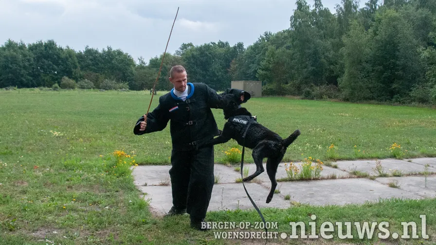 20190829 hoo hondenbiathlon 014