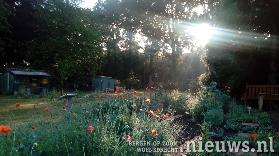 20200724 huij kloostertuin